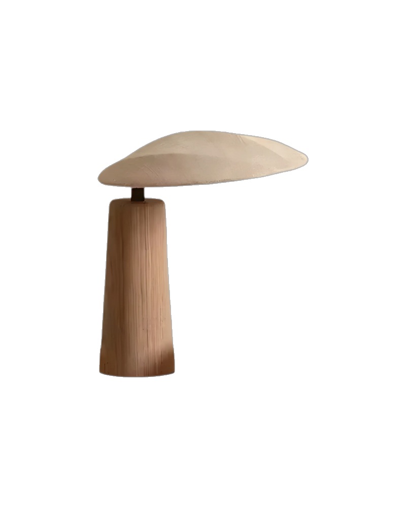 Kyote Japansk Wabi-Sabi Bordslampa